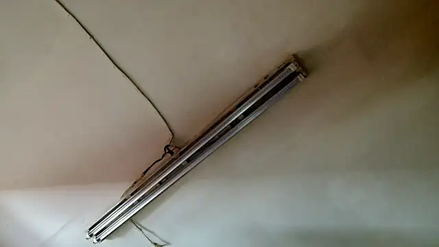 PEBBLES365's cam snapshot