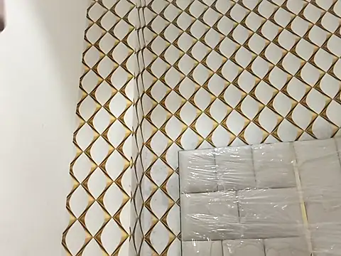 Fiza__khan's cam snapshot