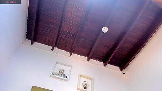 vahiolet_fuentes's cam snapshot