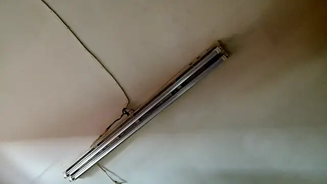 PEBBLES365's cam snapshot