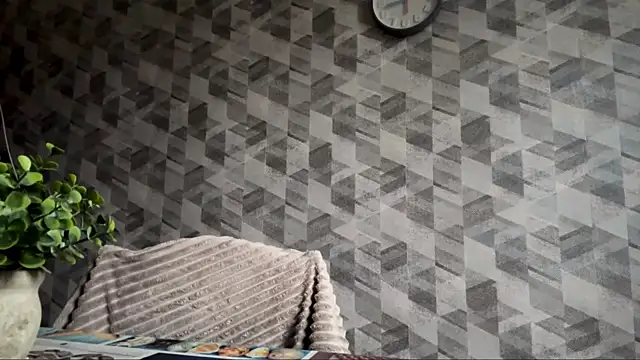 DetraLinz's cam snapshot