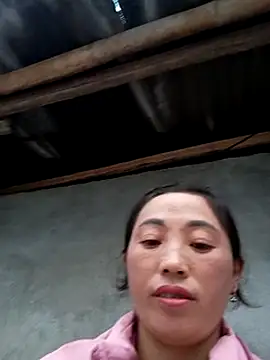 seacyre's cam snapshot