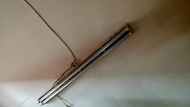 PEBBLES365's cam snapshot