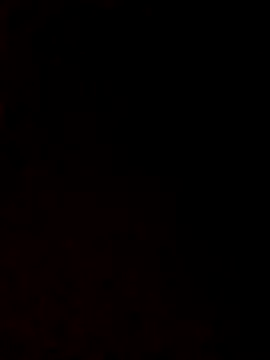 harinisree's cam snapshot