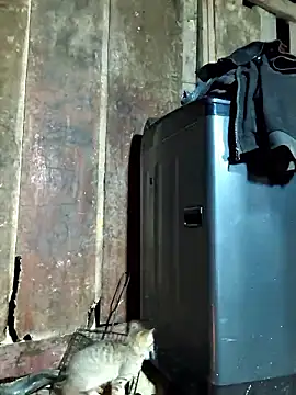 liu-liusexy's cam snapshot