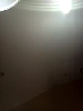 Ami_Foxy's cam snapshot