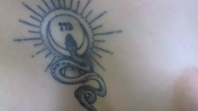 Your_Auggie's cam snapshot