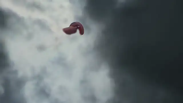 flexingplexico's cam snapshot