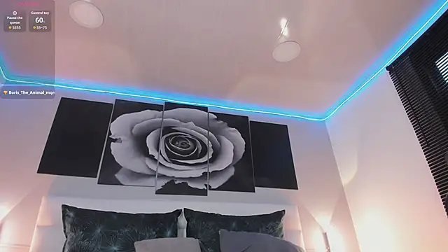 sofi_bakerr live sex cam