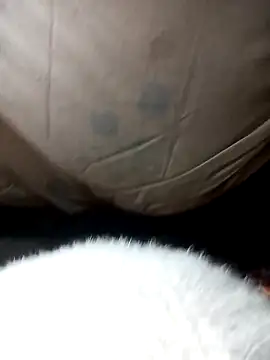 rika833's cam snapshot