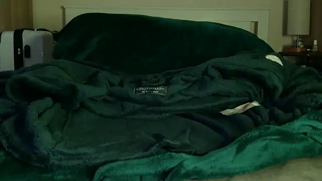 poleheathen's cam snapshot