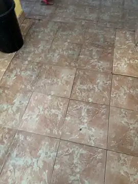 Black-mamba-madingo live sex cam