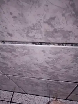 moreninho564's cam snapshot