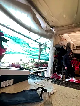 marcoboss's cam snapshot