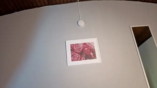 aitana_garcia_'s cam snapshot