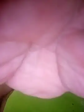 DANY49DANY49 live sex cam