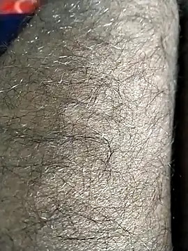 jellydicks live sex cam