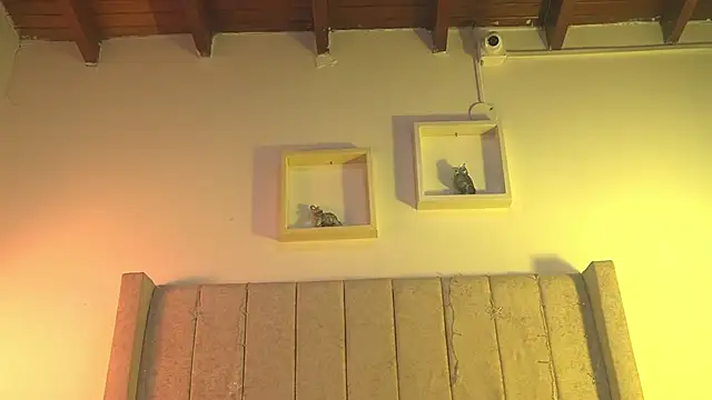 patty_m's cam snapshot