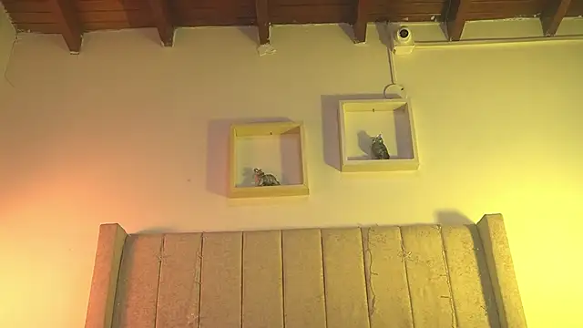 patty_m's cam snapshot