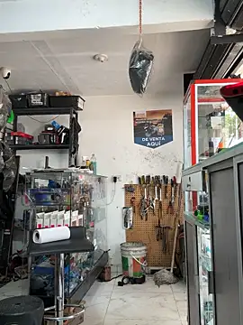 Paul22cm- live sex cam