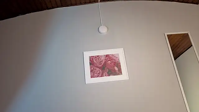 aitana_garcia_'s cam snapshot