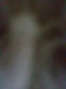 Esenia505's cam snapshot