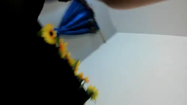 ShairaMarss's cam snapshot