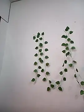 Taniya-2025's cam snapshot