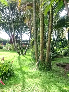 Lunaluxe1001's cam snapshot