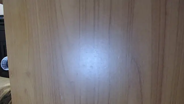 Pamela-StripX's cam snapshot