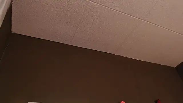 PaulEvens live sex cam