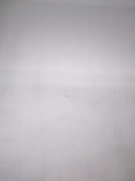 FerneyManti's cam snapshot