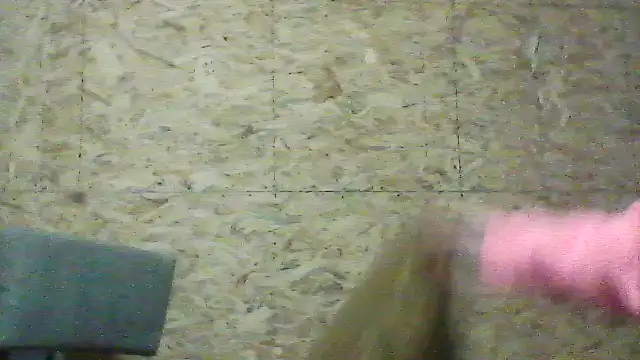 Milana38's cam snapshot