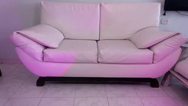 elyra_fox01's cam snapshot