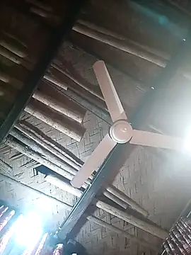 kolebou's cam snapshot