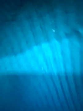 Venuz_Rivers_'s cam snapshot