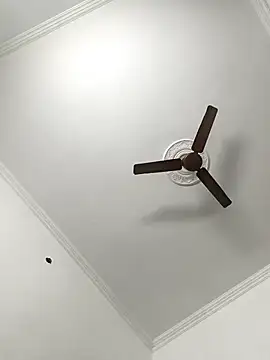 paro22_sex's cam snapshot