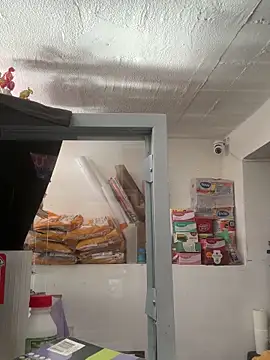 siri_duque's cam snapshot