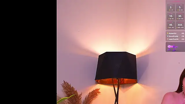 VallieBrandwein's cam snapshot