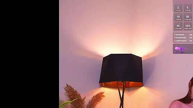 VallieBrandwein's cam snapshot