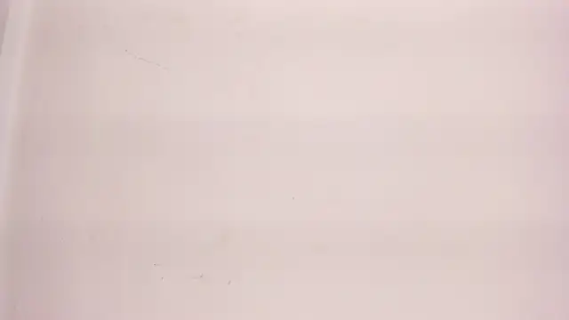 cute_emily_'s cam snapshot