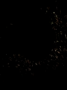 VersauterValentino's cam snapshot