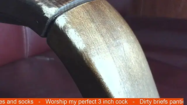 hairyandtiny live sex cam