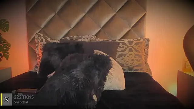 malaia_hills's cam snapshot