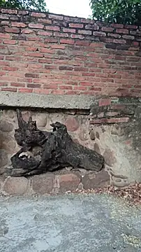 sweet_outdoor_charm's cam snapshot