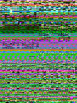 lalilamassu1's cam snapshot