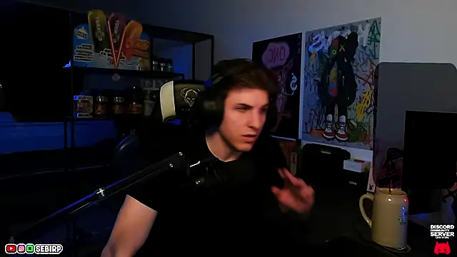 sebirp's cam snapshot