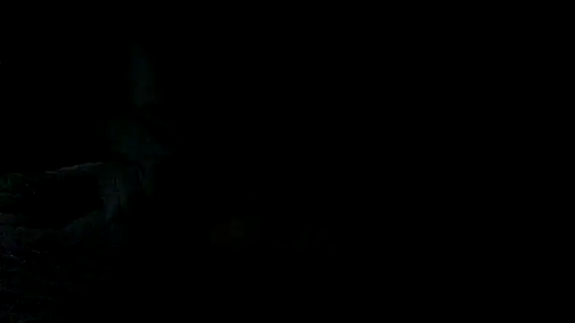 deliciousdearra69 live sex cam