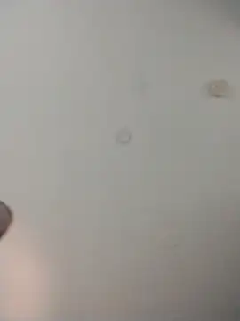 Alleinzuhause's cam snapshot