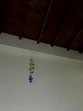 Paulina-Wells's cam snapshot